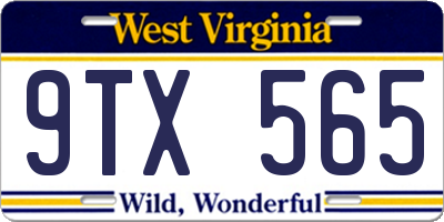 WV license plate 9TX565
