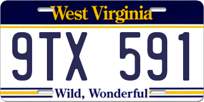 WV license plate 9TX591
