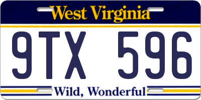 WV license plate 9TX596
