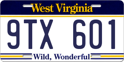WV license plate 9TX601