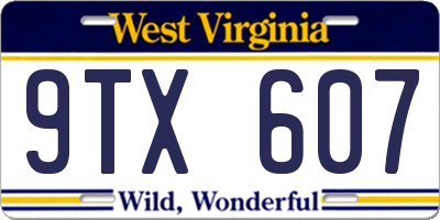 WV license plate 9TX607