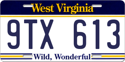 WV license plate 9TX613