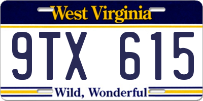 WV license plate 9TX615
