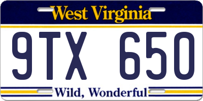 WV license plate 9TX650