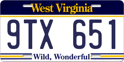 WV license plate 9TX651