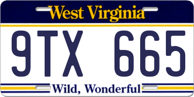 WV license plate 9TX665