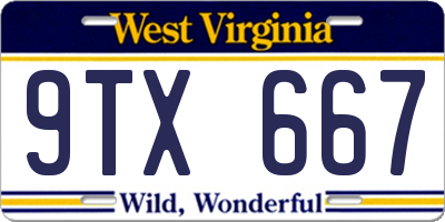 WV license plate 9TX667