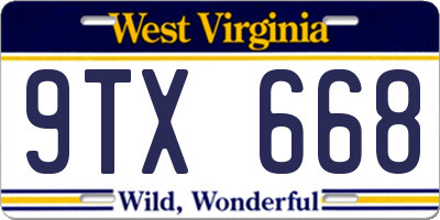 WV license plate 9TX668