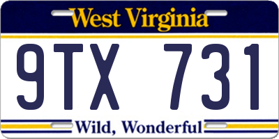 WV license plate 9TX731