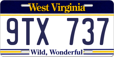WV license plate 9TX737