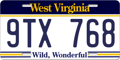WV license plate 9TX768