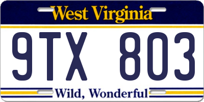 WV license plate 9TX803