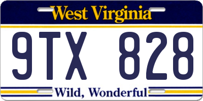 WV license plate 9TX828