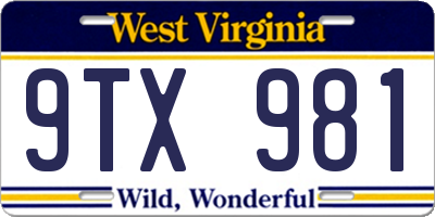 WV license plate 9TX981