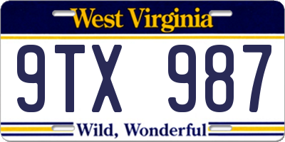 WV license plate 9TX987