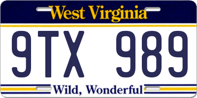 WV license plate 9TX989