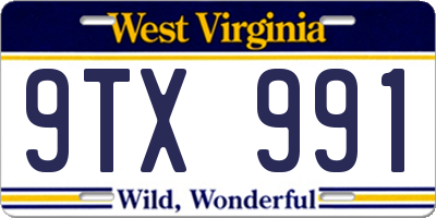 WV license plate 9TX991