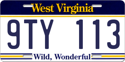 WV license plate 9TY113