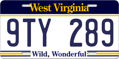 WV license plate 9TY289