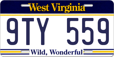 WV license plate 9TY559