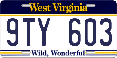 WV license plate 9TY603