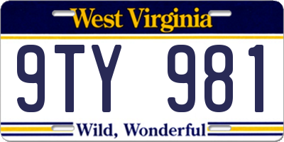 WV license plate 9TY981