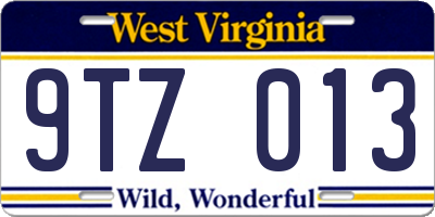 WV license plate 9TZ013