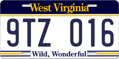 WV license plate 9TZ016