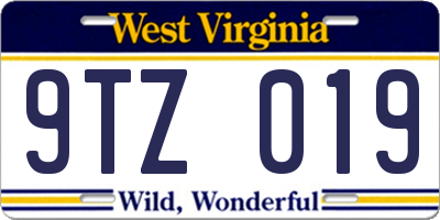 WV license plate 9TZ019