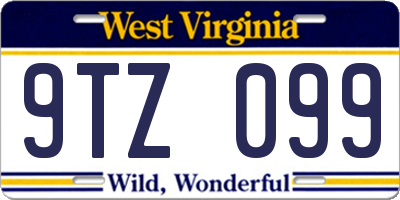 WV license plate 9TZ099