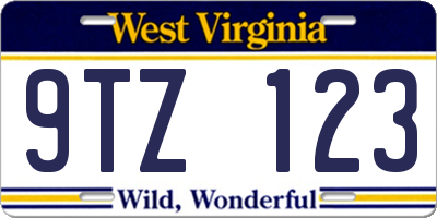 WV license plate 9TZ123