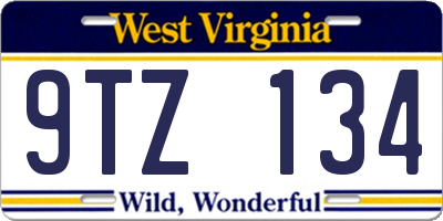 WV license plate 9TZ134