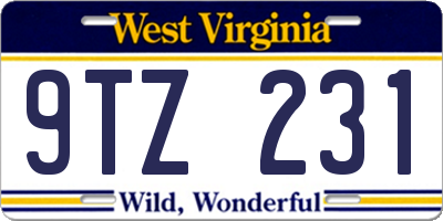 WV license plate 9TZ231