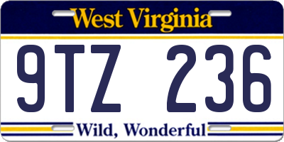 WV license plate 9TZ236