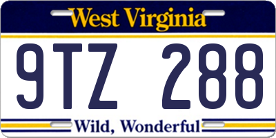 WV license plate 9TZ288