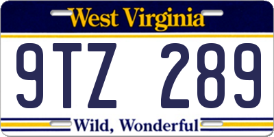 WV license plate 9TZ289