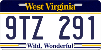 WV license plate 9TZ291