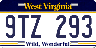 WV license plate 9TZ293