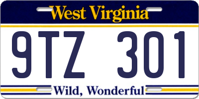 WV license plate 9TZ301