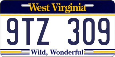 WV license plate 9TZ309