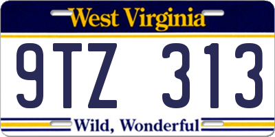 WV license plate 9TZ313