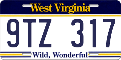 WV license plate 9TZ317