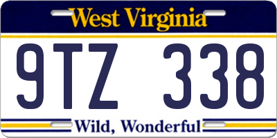 WV license plate 9TZ338