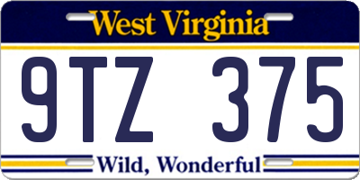 WV license plate 9TZ375