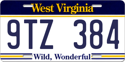 WV license plate 9TZ384