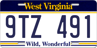 WV license plate 9TZ491