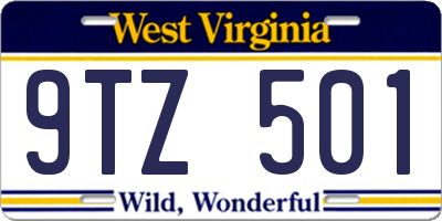 WV license plate 9TZ501
