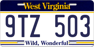WV license plate 9TZ503