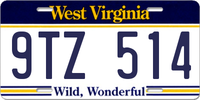 WV license plate 9TZ514