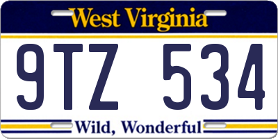 WV license plate 9TZ534